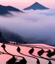  云南梯田云海日出景观1141#横屏 	 