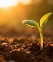  幼苗破土生长素材2374#横屏 	 - 