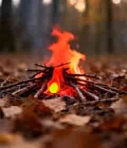  森林中燃烧的篝火1996#横屏 	 