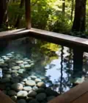  森林中的木质浴池1213#横屏 	 