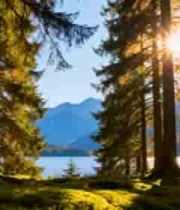  森林湖泊自然风光素材2148#横屏 	 