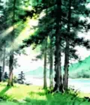  森林湖泊自然风光插画2677#横屏 	 