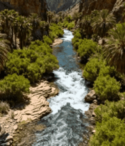 峡谷中河流与棕榈树景观785#横屏 