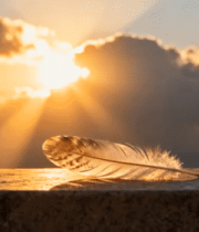 夕阳下石台上的羽毛559#横屏 