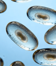 微观细胞特写素材2991#横屏 