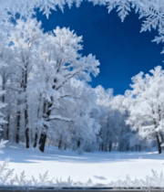 透过窗户看冬日雪景森林2922#横屏 