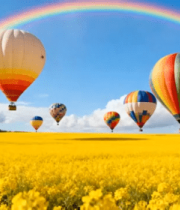 田野上空的彩色热气球1389#横屏 