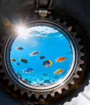 透过舷窗看海洋鱼群3719#横屏 