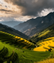 梯田自然风光全景1850#横屏 
