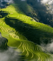梯田自然风光空中俯瞰画面3308#横屏 