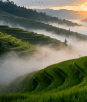 梯田自然风光全景(1)4169#横屏 