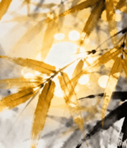 水墨风格古树自然风光素材347#横屏 