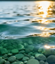 水下监控摄像头与游动鱼类2642#横屏 