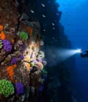  潜水员海底观赏多彩珊瑚礁1599#横屏 	 - 