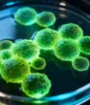  培养皿中绿色细胞微观画面2295#横屏 	 