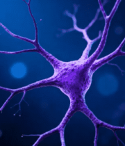 神经元微观素材2980#横屏 