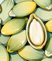  南瓜子特写素材66#横屏 	 - 