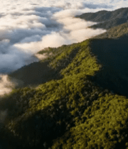 山林云海航拍全景73#横屏 