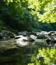山林间溪流与岩石景观5147#横屏 