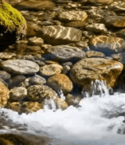 山间小溪流水与卵石画面5523#横屏 