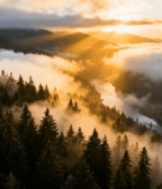 山林云海日出全景素材4261#横屏 