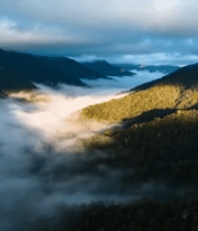 山间云海森林自然风光4698#横屏 