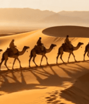 沙漠中行人骑骆驼队伍603#横屏 