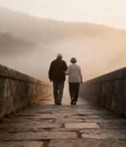  老年夫妇牵手漫步石板桥1837#横屏 	 