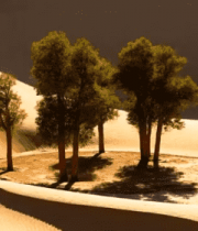 沙漠中的树木景观3404#横屏 