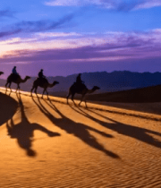 沙漠中古老的建筑遗址1080#横屏 