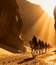 沙漠中骆驼队逆光行进1197#横屏 