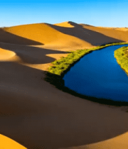 沙漠中的绿洲景观(2)5533#横屏 