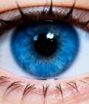  蓝色眼睛睫毛特写素材1780#横屏 	 