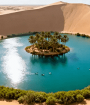 沙漠中绿洲鸟瞰景象4236#横屏 