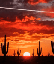 沙漠仙人掌日落景象(2)5123#横屏 