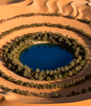 沙漠中的绿洲景观(1)4412#横屏 