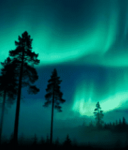 森林上空的极光夜景2215#横屏 
