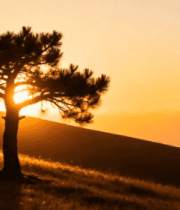 日落时分的清真寺景观2430#横屏 