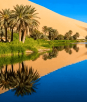 沙漠中的湖水与棕榈树景观3432#横屏 