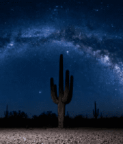 沙漠夜空下的仙人掌与银河1014#横屏 