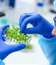  科研人员实验室观察幼苗403#横屏 	 