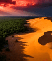 沙漠森林交界壮丽景观821#横屏 