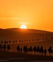 沙漠日落骆驼队全景3353#横屏 