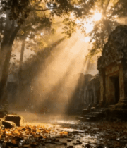 森林中阳光照耀的古老遗迹2482#横屏 