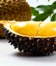  金枕榴莲特写素材1940#横屏 	 