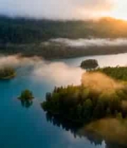  喀纳斯湖森林日出风光1050#横屏 	 