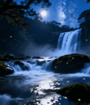 森林夜景瀑布星空素材1159#横屏 
