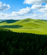 森林与草原风光全景2081#横屏 