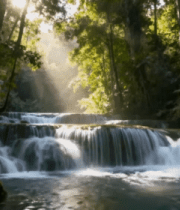 森林中的瀑布自然风光3877#横屏 