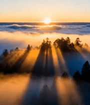 森林云海日出自然风光4499#横屏 